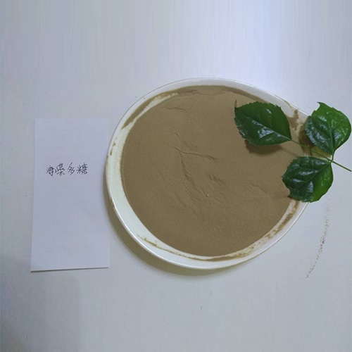 海藻饲料
