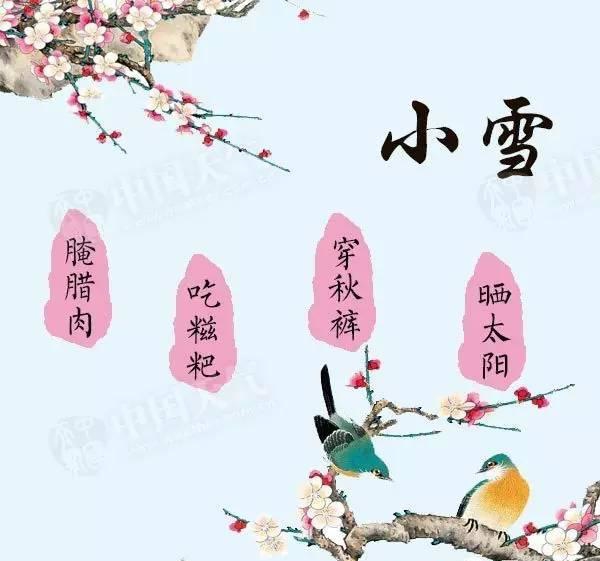 小雪2_看图王.jpg